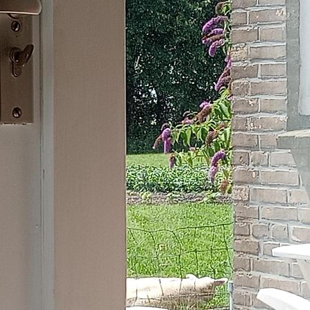 Hantum In Het Mooie Friesland Vele Bezienswaardigheden מראה חיצוני תמונה