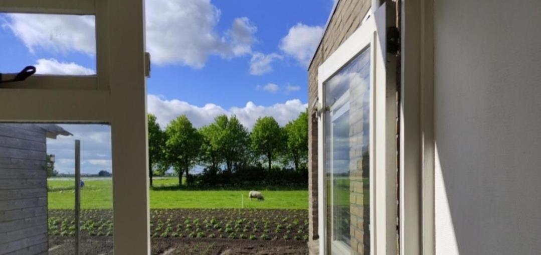 Hantum In Het Mooie Friesland Vele Bezienswaardigheden מראה חיצוני תמונה
