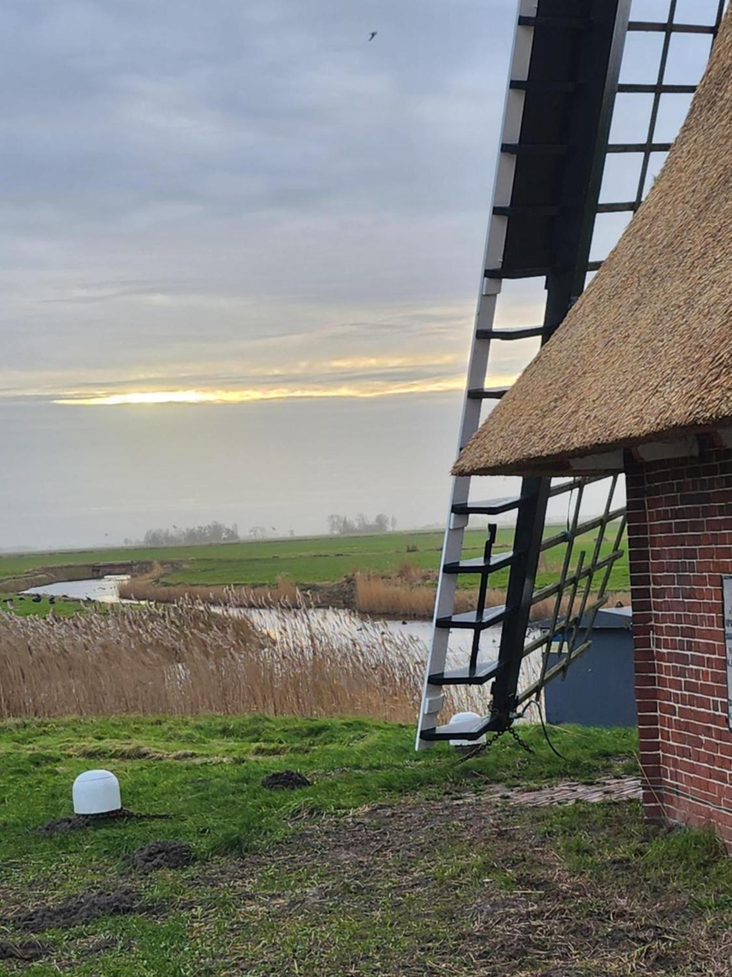 Hantum In Het Mooie Friesland Vele Bezienswaardigheden מראה חיצוני תמונה